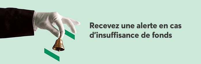 Recevez une alerte en cas d’insuffisance de fonds. En savoir plus sur les alertes par courriel.